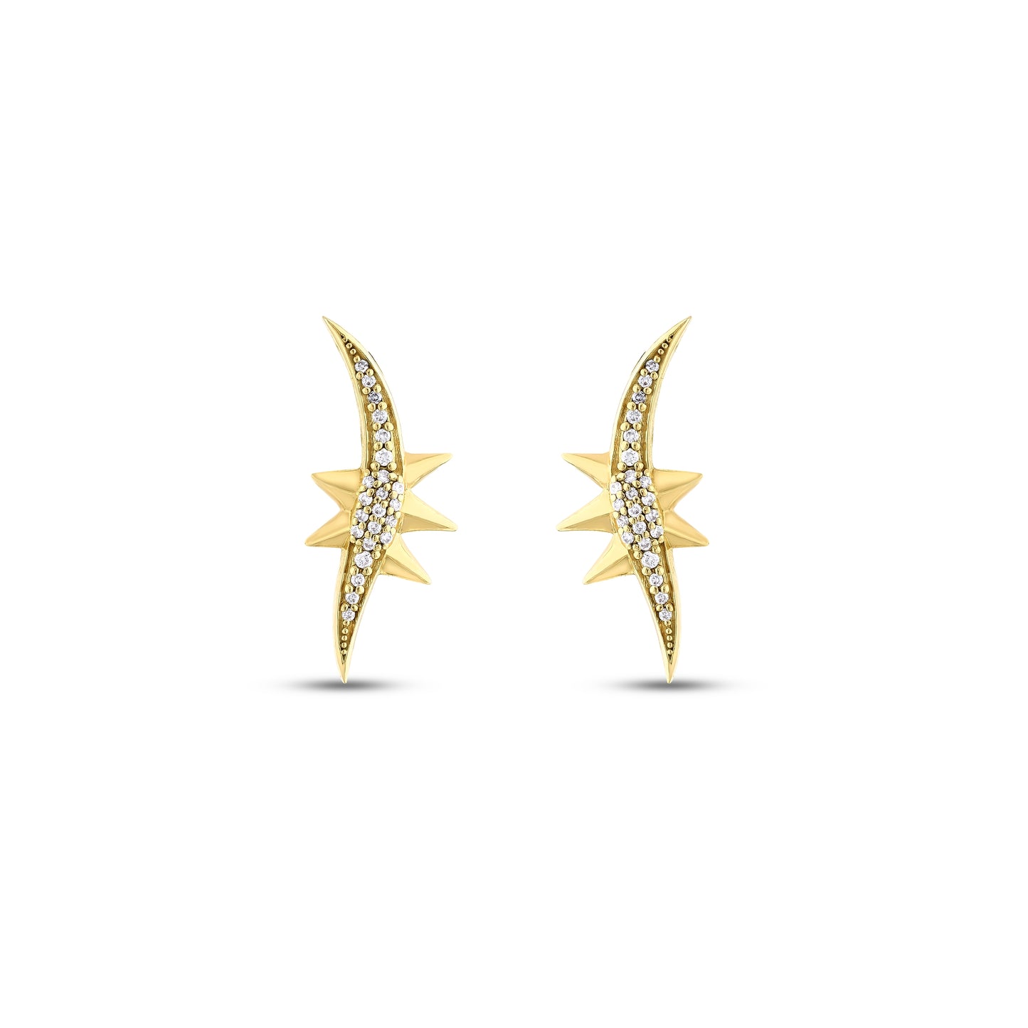 Slash Curve Earrings
